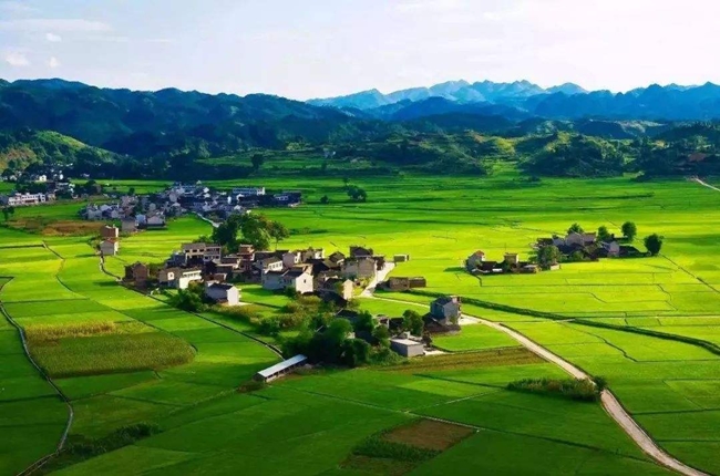知名企業(yè)_副本.jpg